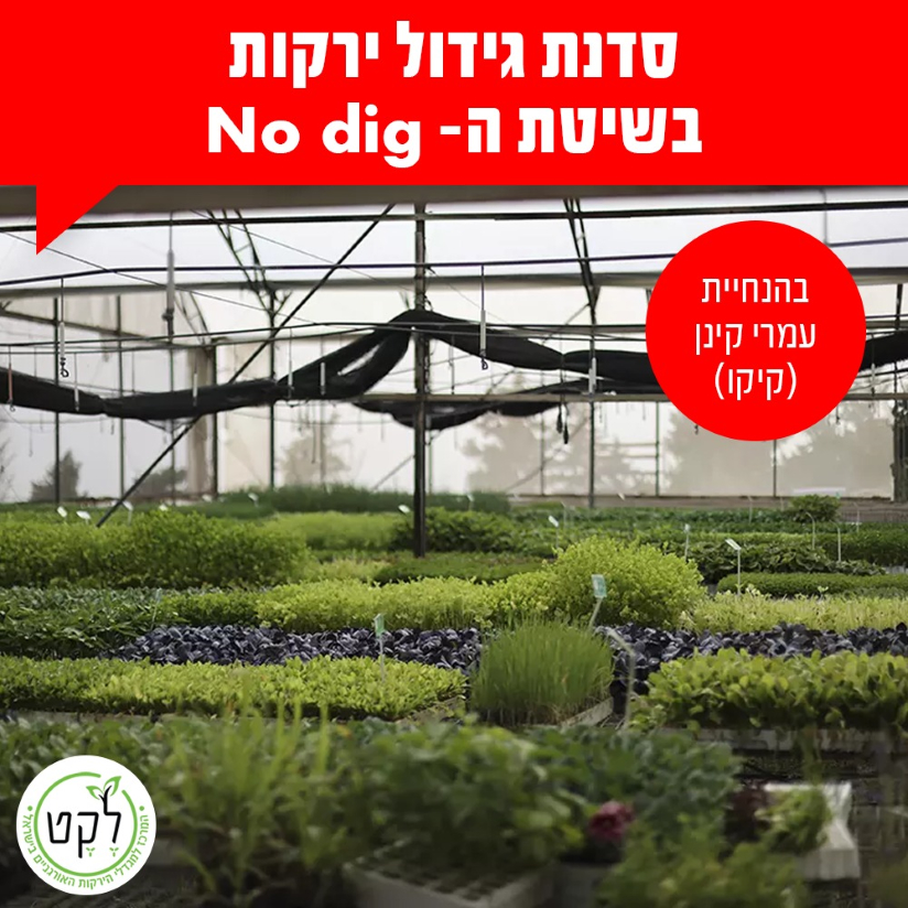 לקט משתלה, סדנאות, לגדול